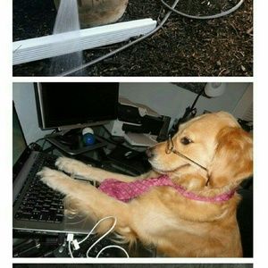 Meet your Posher, Cheryl