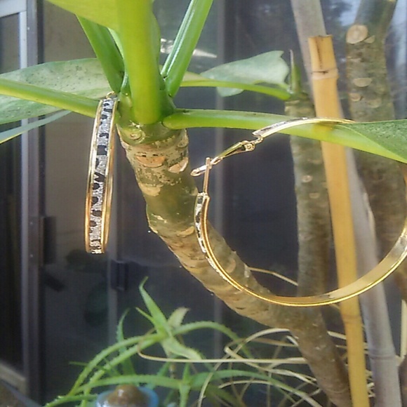 Gold Plated, Animal Print Center Hoop Earrings - Picture 3 of 3