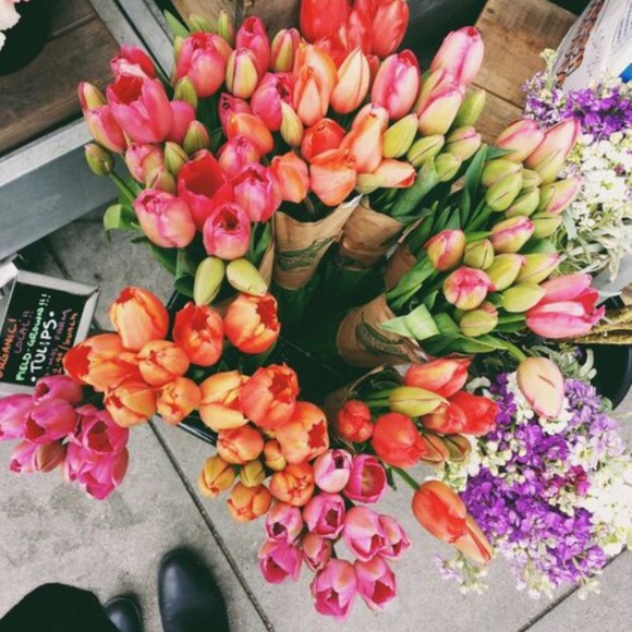 Meet your Posher, Kathryn