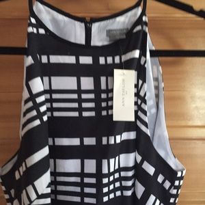 NWT Ann Taylor cotton dress