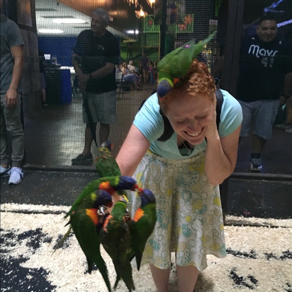 Meet your Posher, Anna - Picture 3 of 4