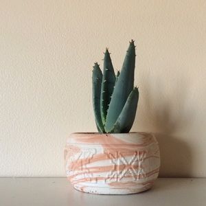 Meet your Posher, Krystalee