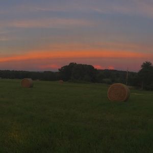 Meet your Posher, Sadie