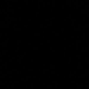 Meet your Posher, Tae