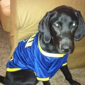 Meet your Posher, Ela