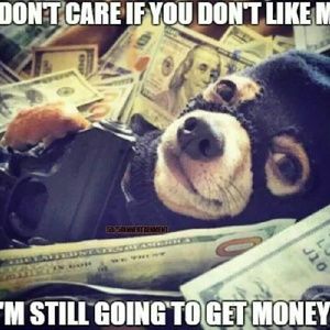 Meet your Posher, Sheena