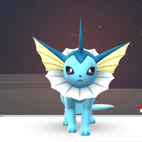 Meet your Posher, Cecilia