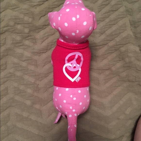 VS PINK DOG💕