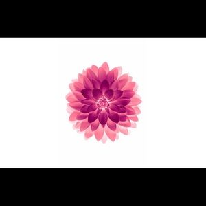 Meet your Posher, Bella