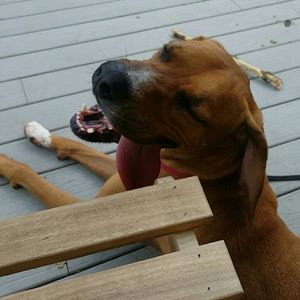 Meet your Posher, Adriane