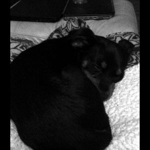 Meet your Posher, Anaya