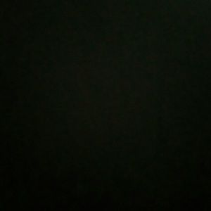 Meet your Posher, Mona