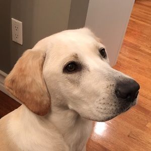 Meet your Posher, Richard