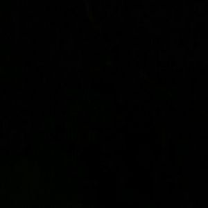 Meet your Posher, Lishciaa