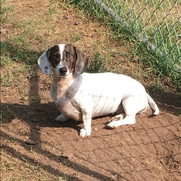 Meet your Posher, Katie - Picture 1 of 1