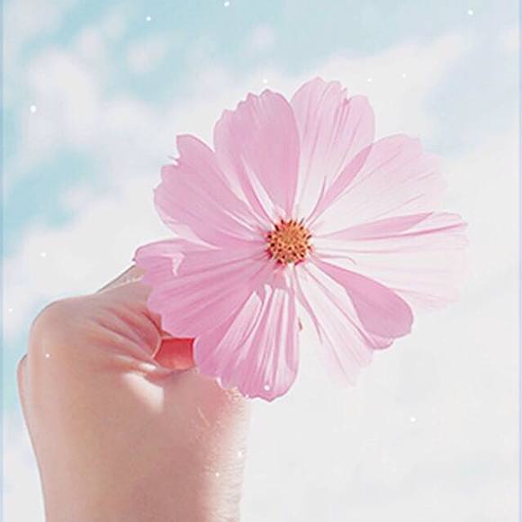 Meet your Posher, Lena - Picture 1 of 1