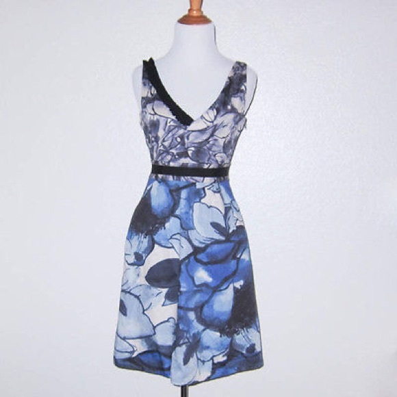 ANTHROPOLOGIE: Indigo Garden Blue Floral Dress