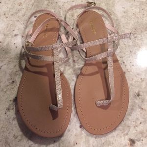 Express faux snake skin like new