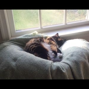 Meet your Posher, Jackie