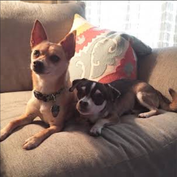 Meet your Posher, Lisa - Picture 5 of 10