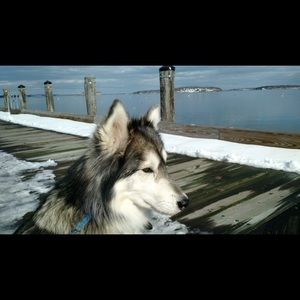 Meet your Posher, Haley