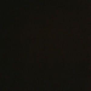 Meet your Posher, Rylee