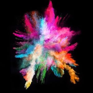 Meet your Posher, Anne