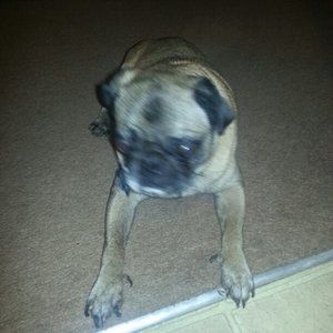 Meet your Posher, Norma