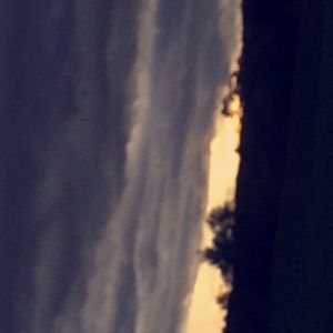 Meet your Posher, Mel