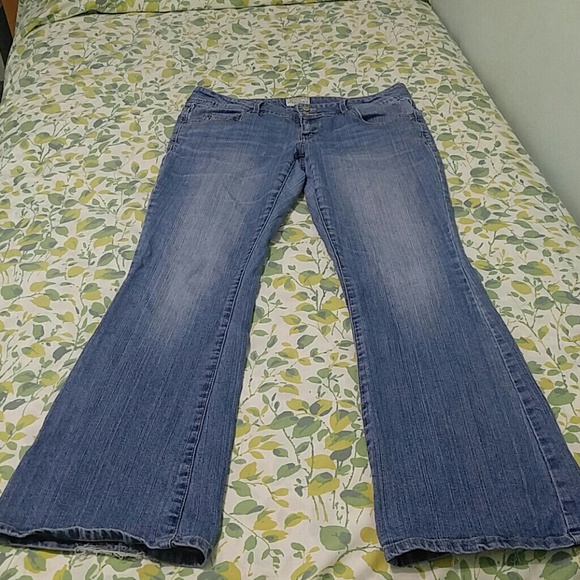 Hailey Flare Jeans