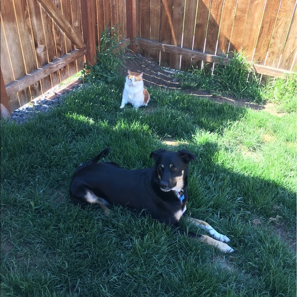 Meet your Posher, Emily - Picture 5 of 5