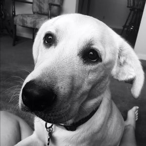 Meet your Posher, Misty