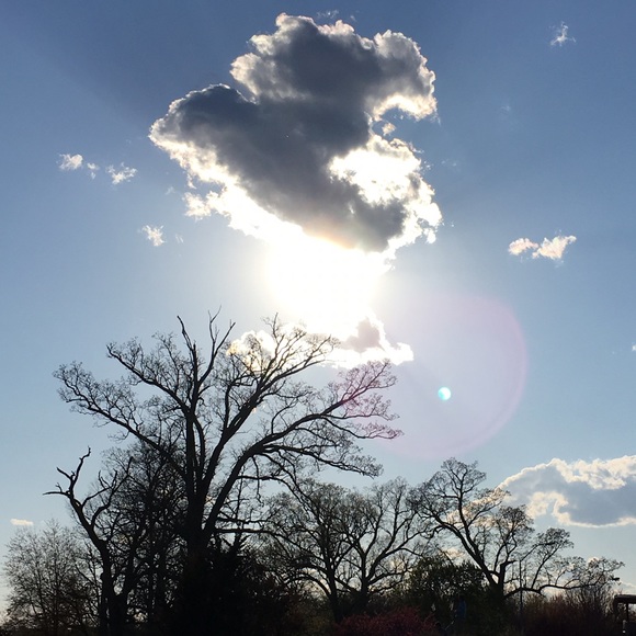 Meet your Posher, Eleni - Picture 3 of 4