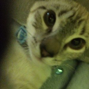 Meet your Posher, Zoe