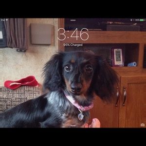 Meet your Posher, Joyce