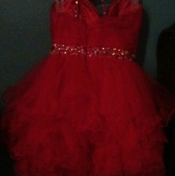 Homecoming dress - Picture 3 of 4