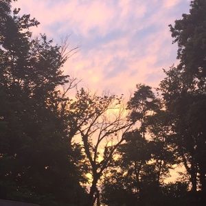 Meet your Posher, Alanah