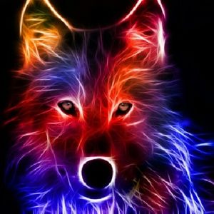 Meet your Posher, Asenia