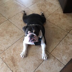 Meet your Posher, Candice