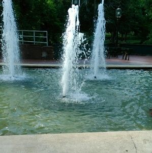 Meet your Posher, Lashannon