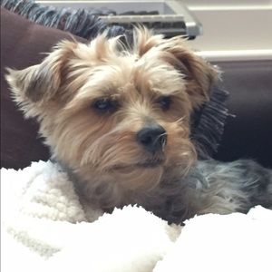 Meet your Posher, Amy