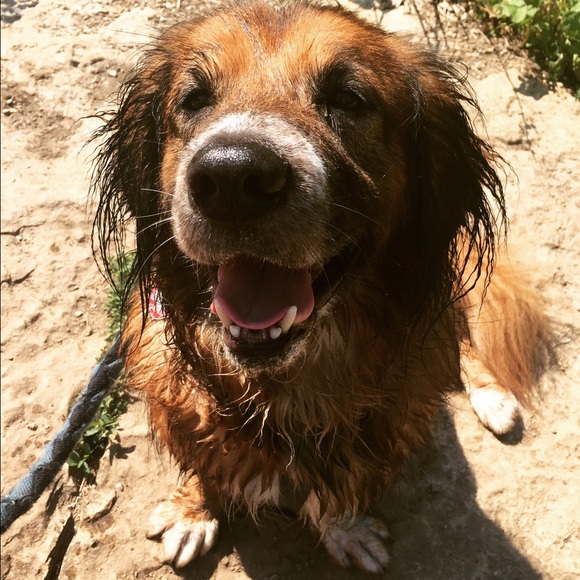 Meet your Posher, Chloe