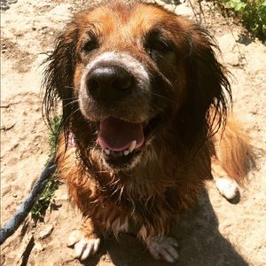 Meet your Posher, Chloe