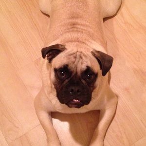 Meet your Posher, Marina