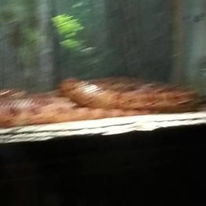 Meet your Posher, Jordan