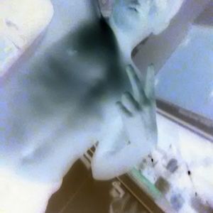 Meet your Posher, Charles