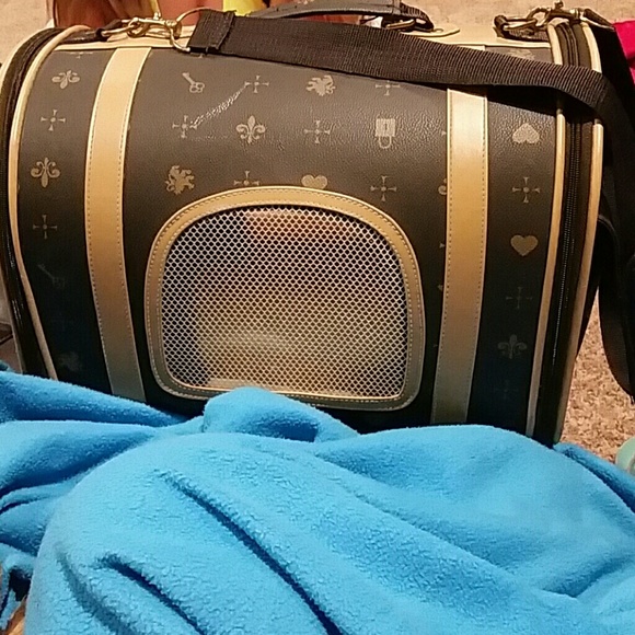 A dog carrier used twice
