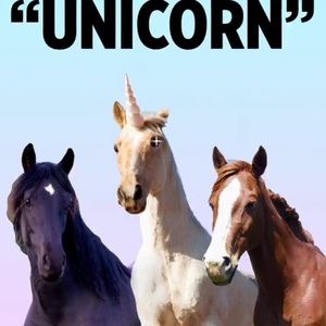 Meet your Posher, Bradkey