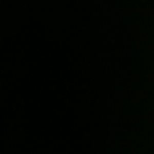 Meet your Posher, Suzanne