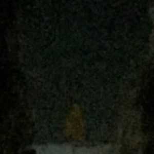 Meet your Posher, Abby